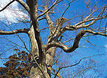 《奥德赛之和谐》10月19日发售 支持简繁体中文